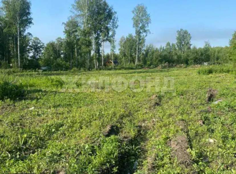 Продам земельный участок 1200 м.кв.