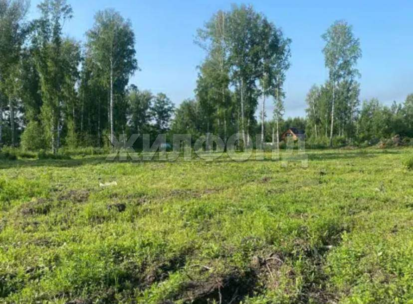 Продам земельный участок 1197 м.кв.