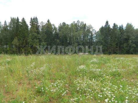 Продам земельный участок 1200 м.кв.
