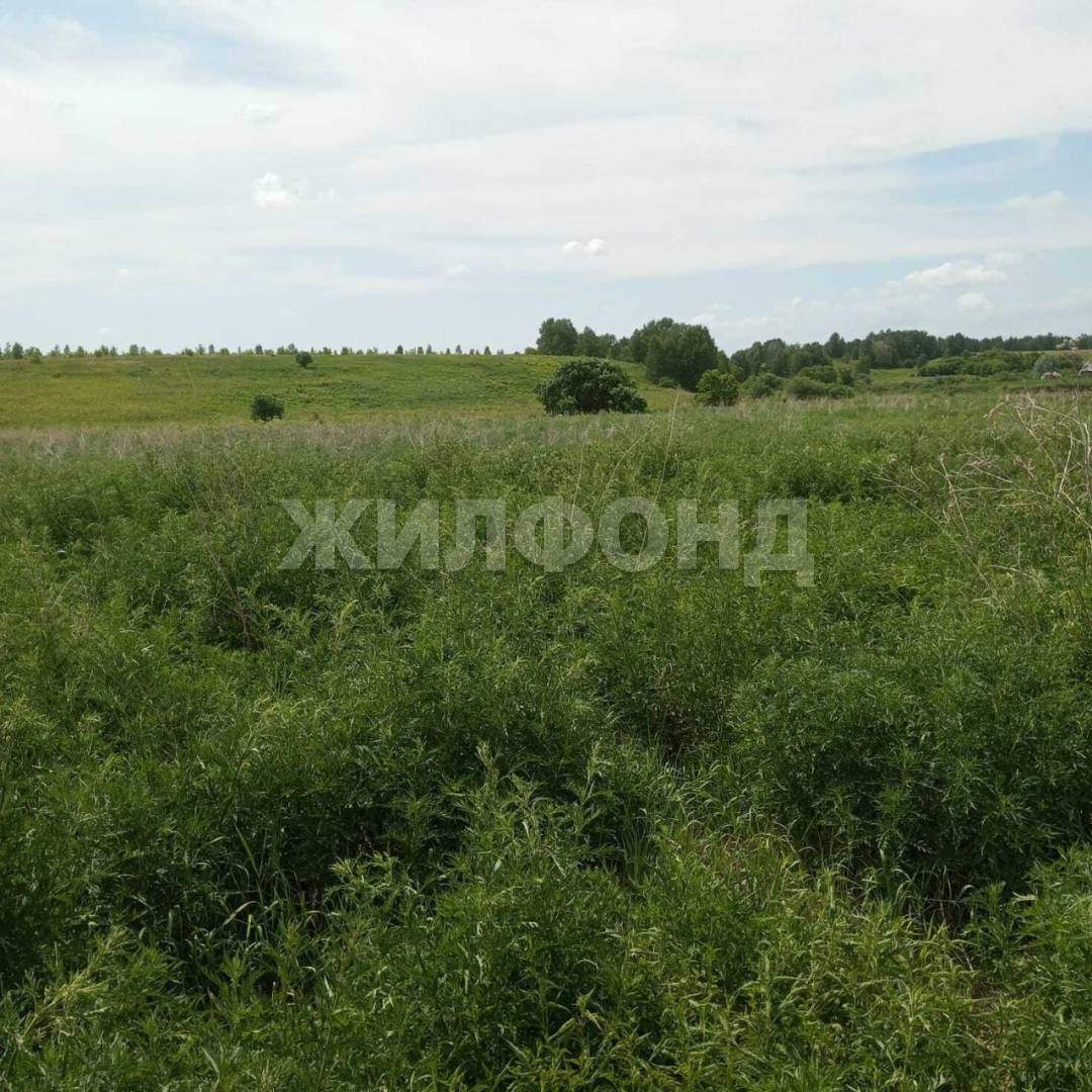 Продам земельный участок 500000 м.кв.