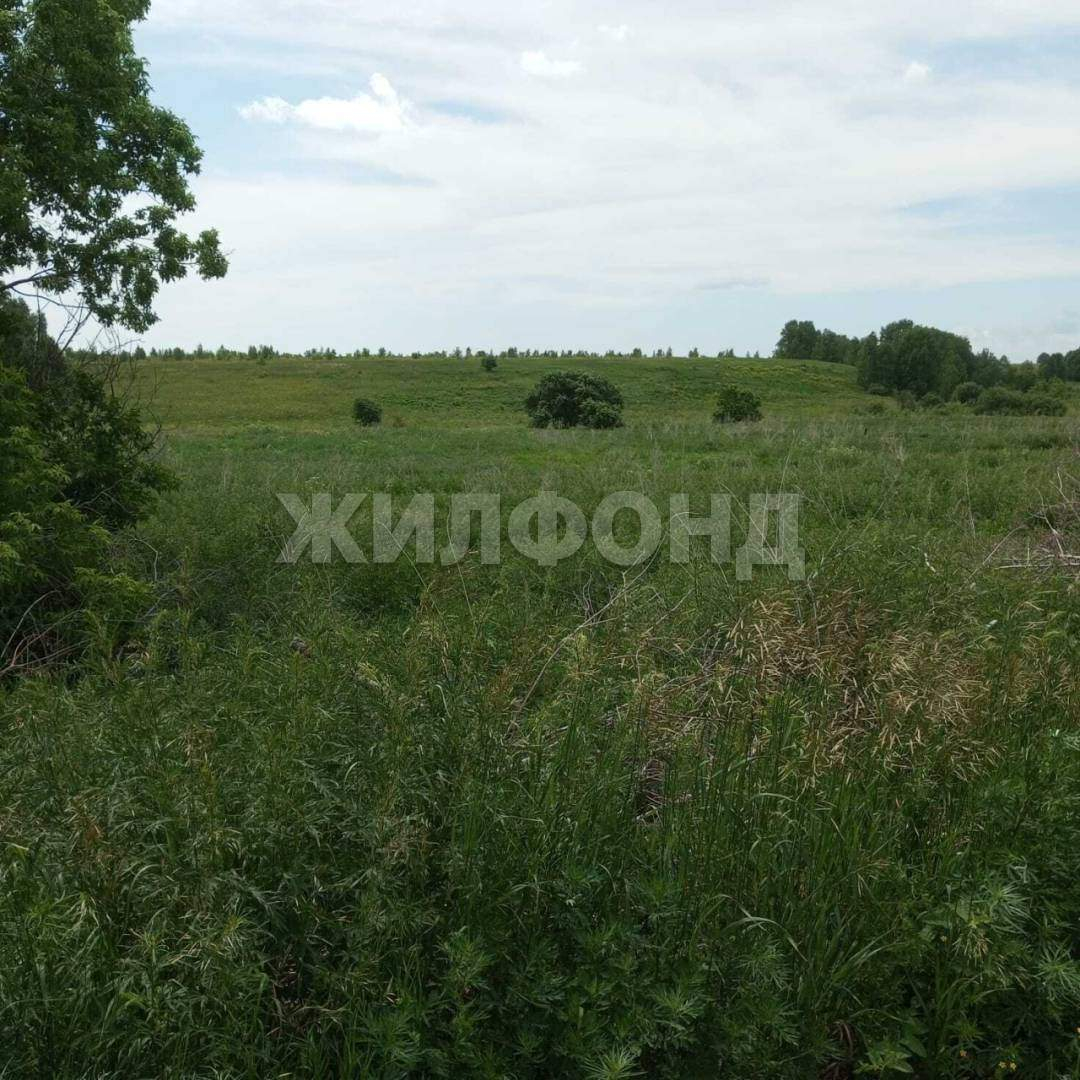 Продам земельный участок 500000 м.кв.