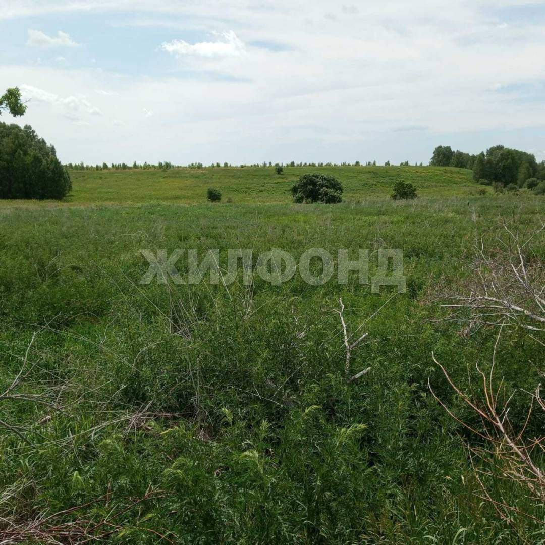 Продам земельный участок 500000 м.кв.