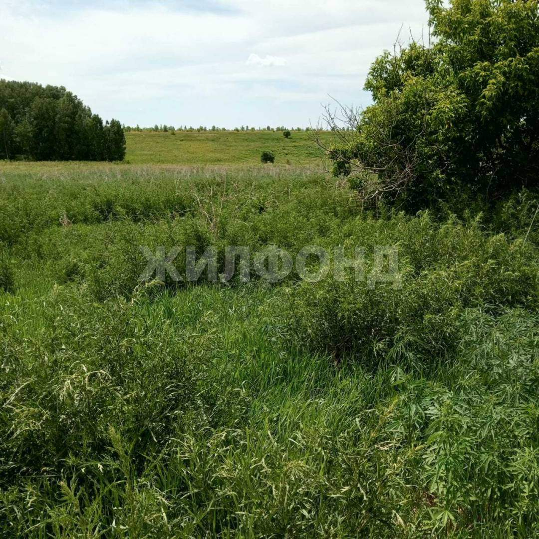 Продам земельный участок 500000 м.кв.