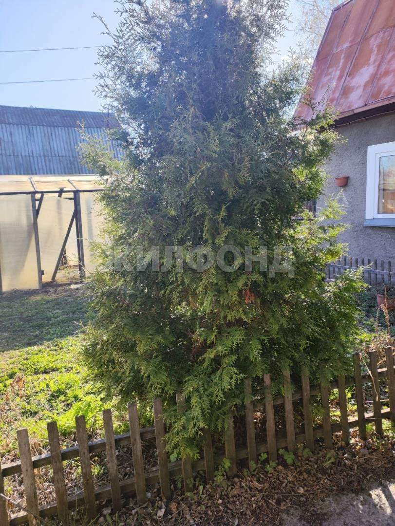 Продам земельный участок 600 м.кв.
