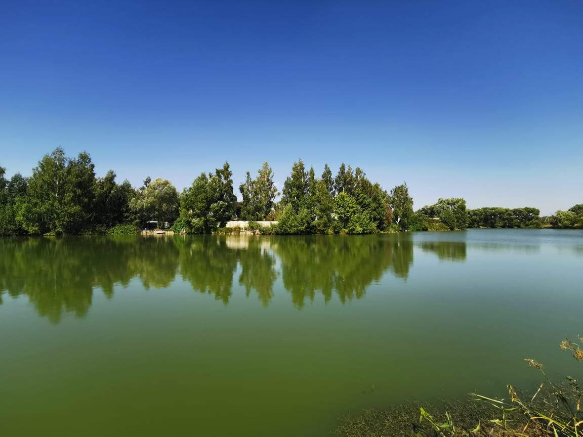 Дом на продажу в Раменском, Поддубье территория снт фото №16