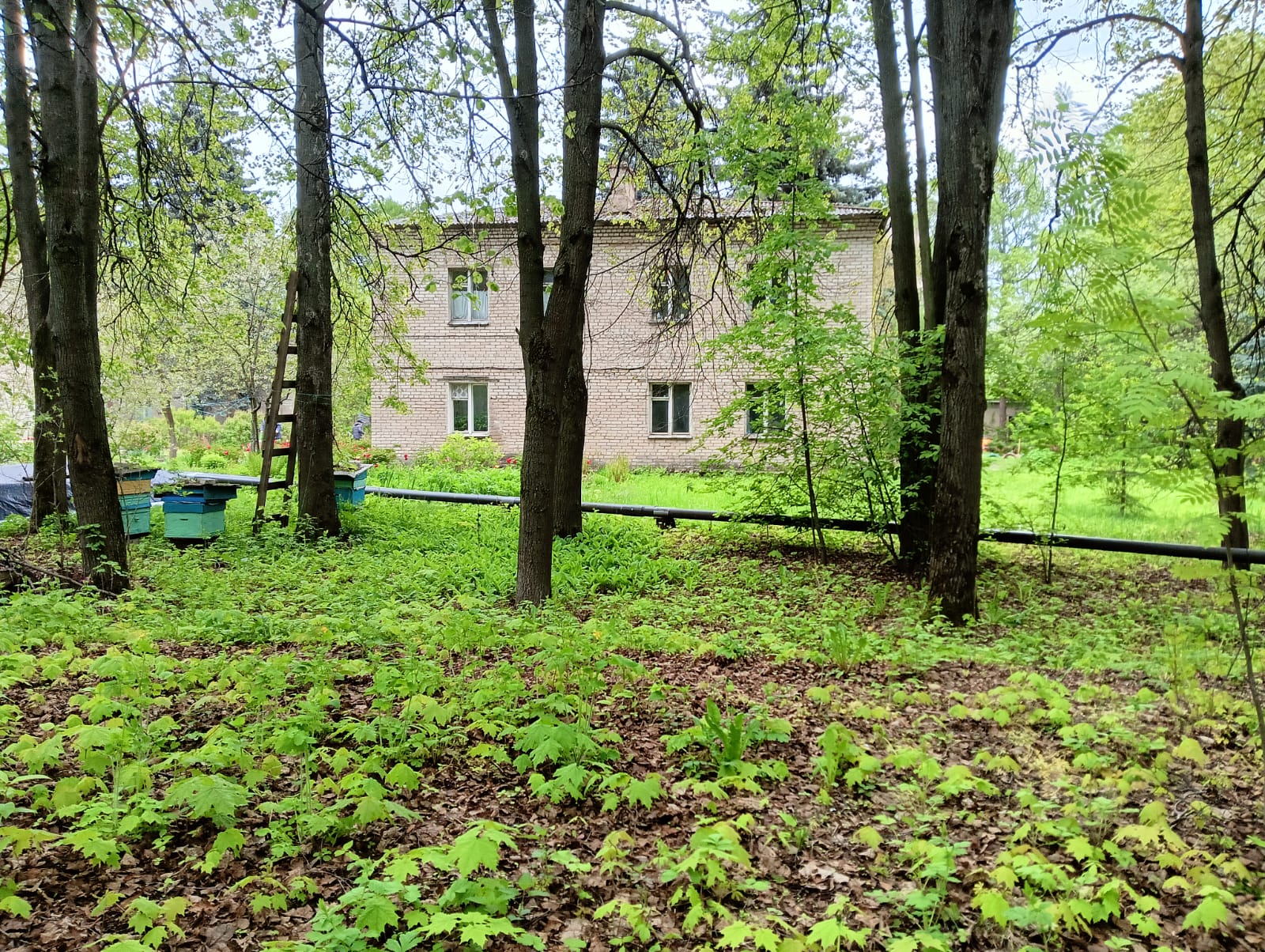 Продам торговое помещение 1060.3 м.кв.