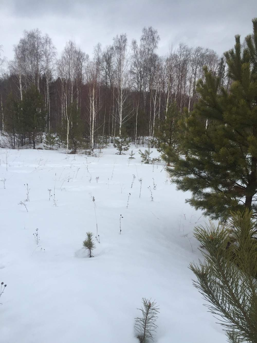 Продам земельный участок 5000 м.кв.