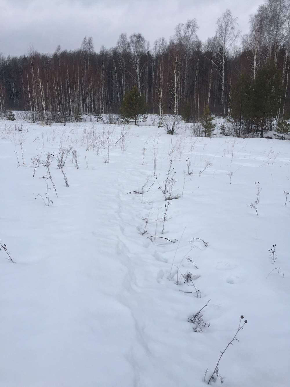 Продам земельный участок 5000 м.кв.