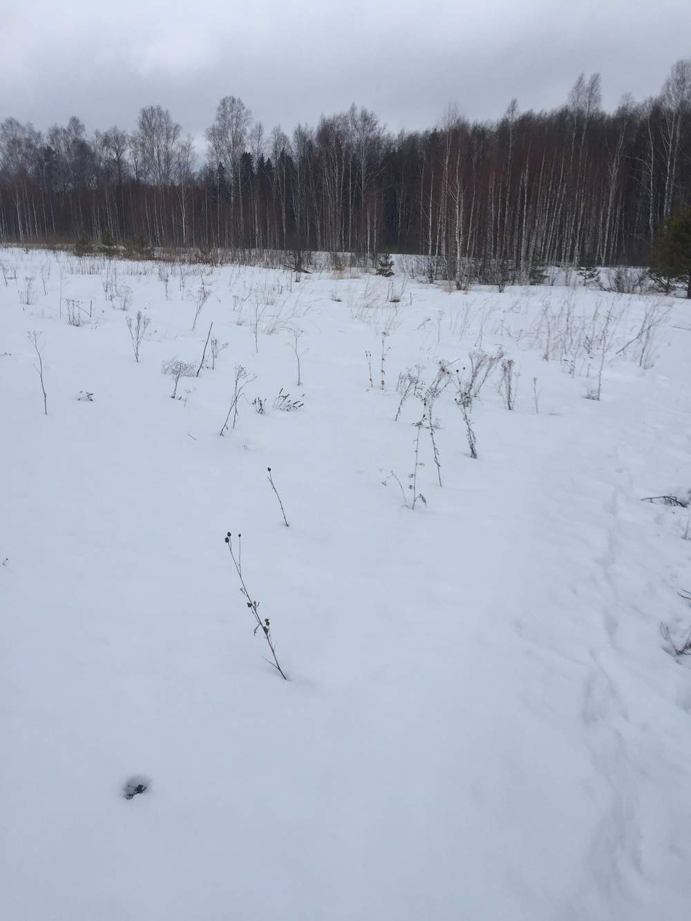 Продам земельный участок 5000 м.кв.