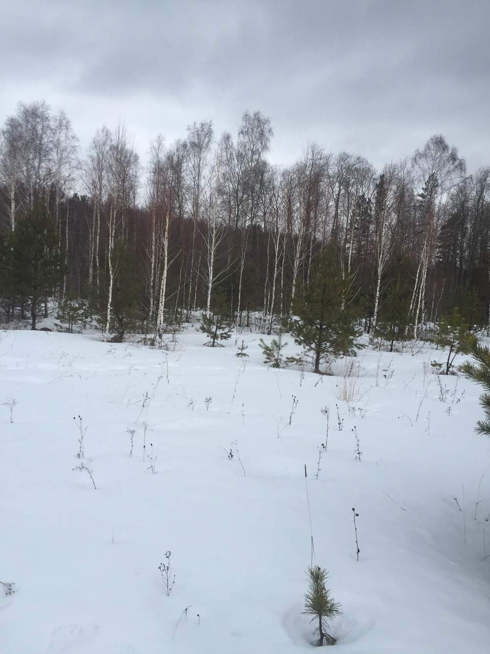 Продам земельный участок 5000 м.кв.