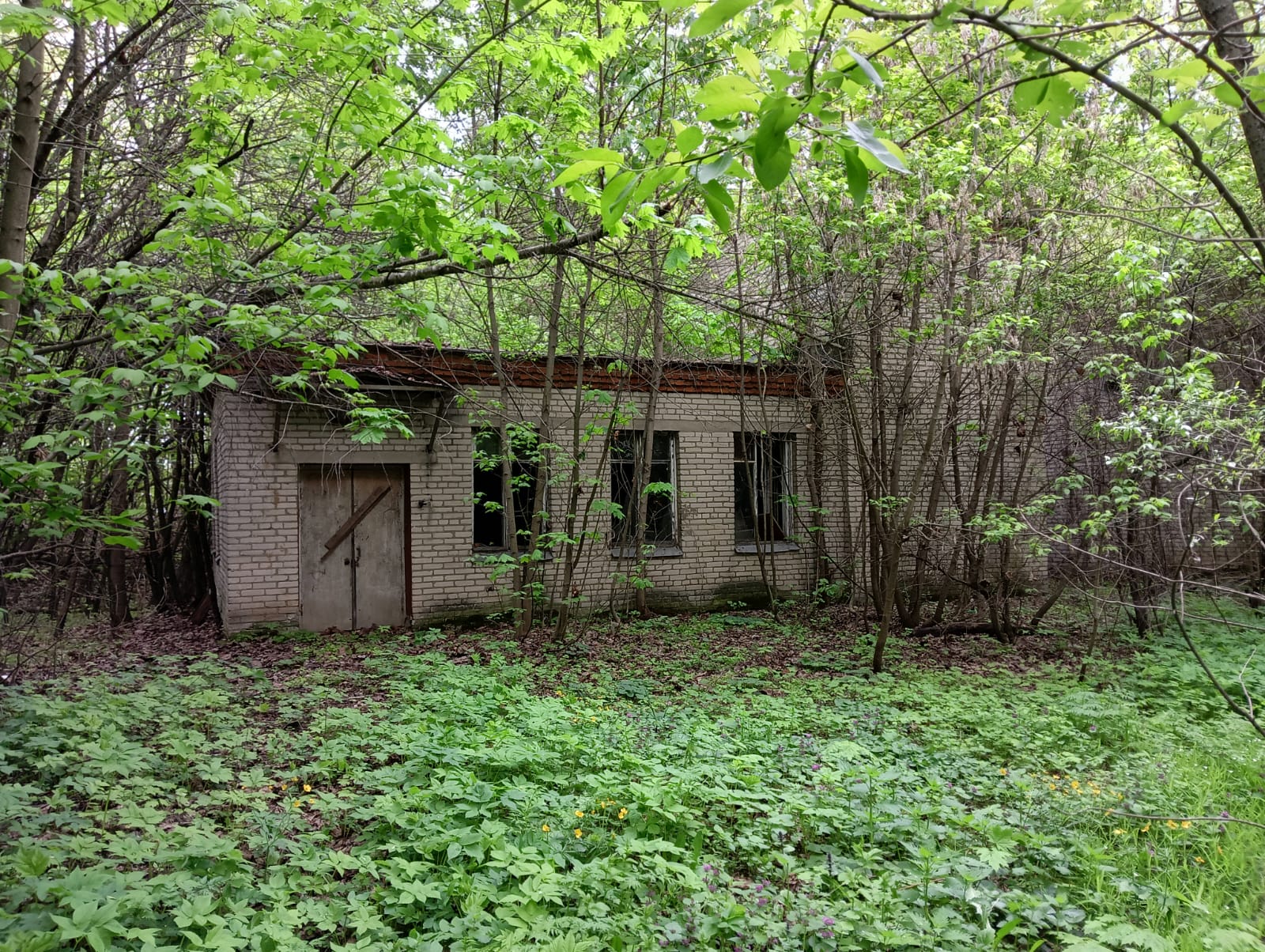 Продам торговое помещение 1060.3 м.кв.