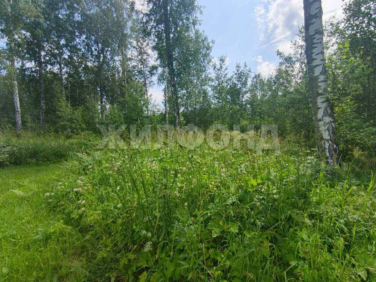 Продам земельный участок 1200 м.кв.