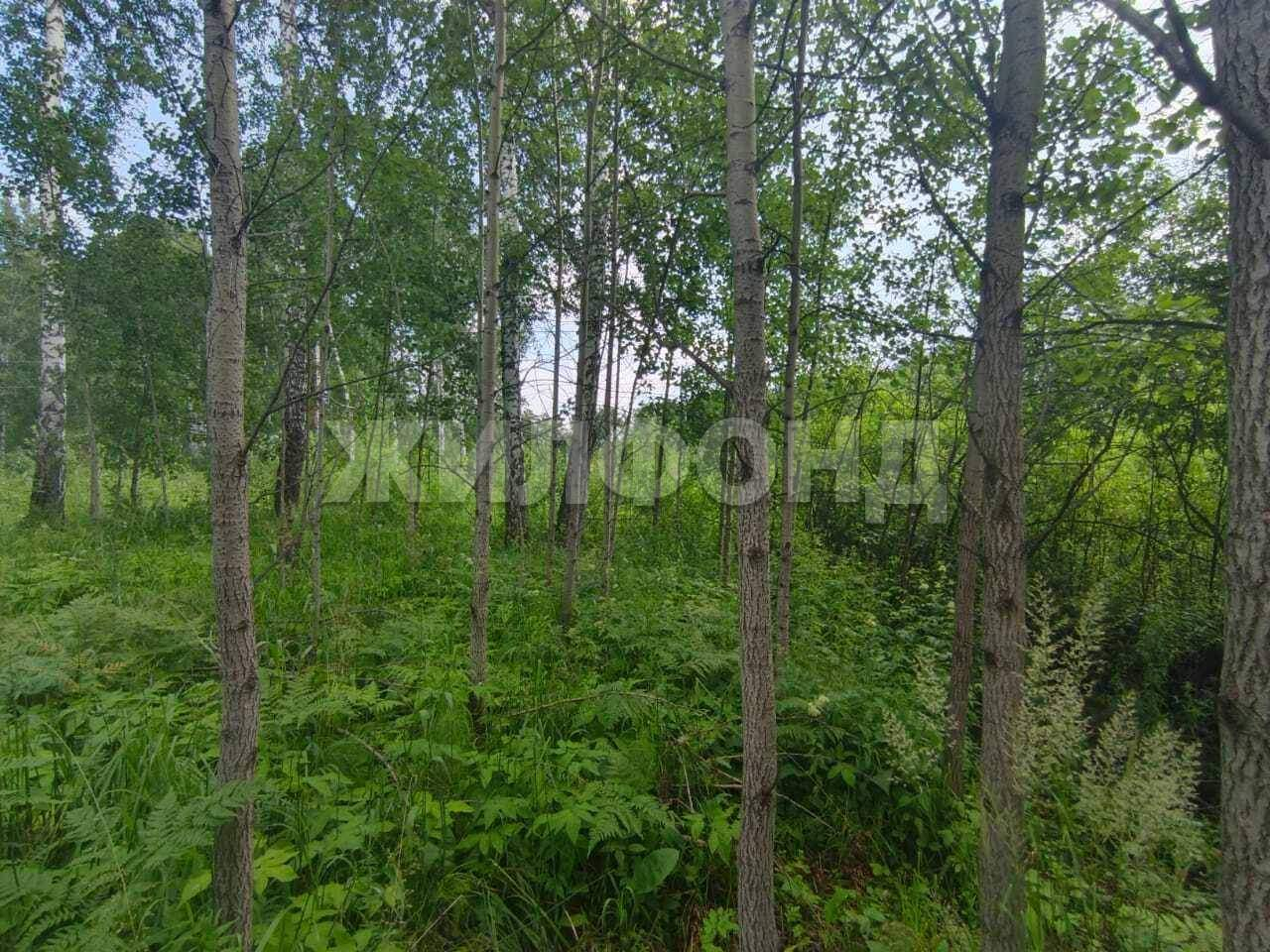 Продам земельный участок 1200 м.кв.
