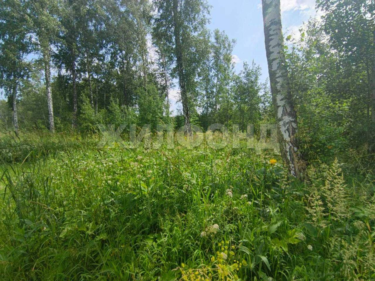 Продам земельный участок 1077 м.кв.