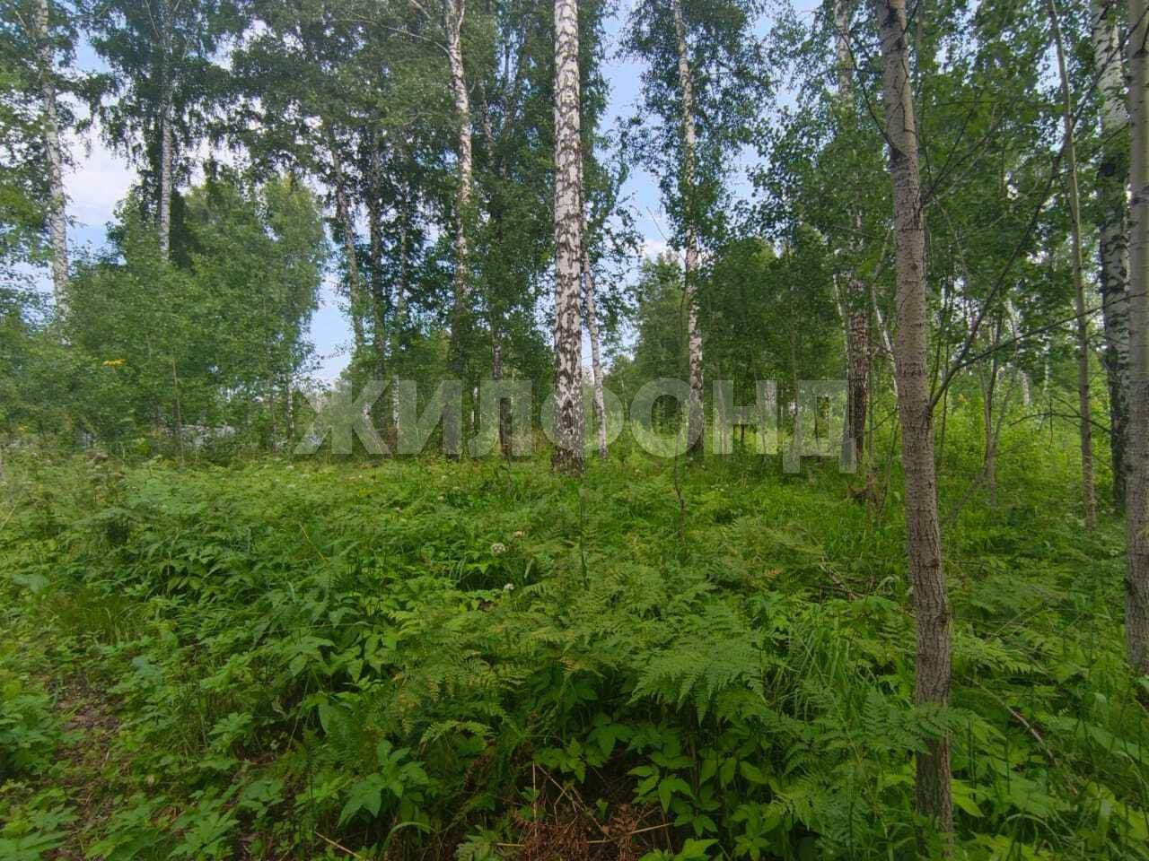 Продам земельный участок 1200 м.кв.