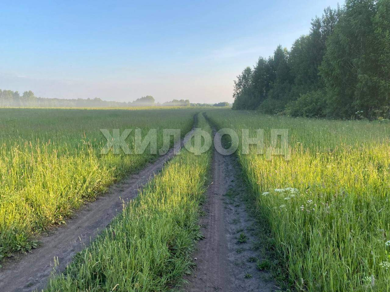 Продам земельный участок 130000 м.кв.