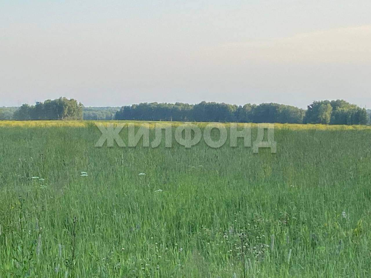 Продам земельный участок 130000 м.кв.