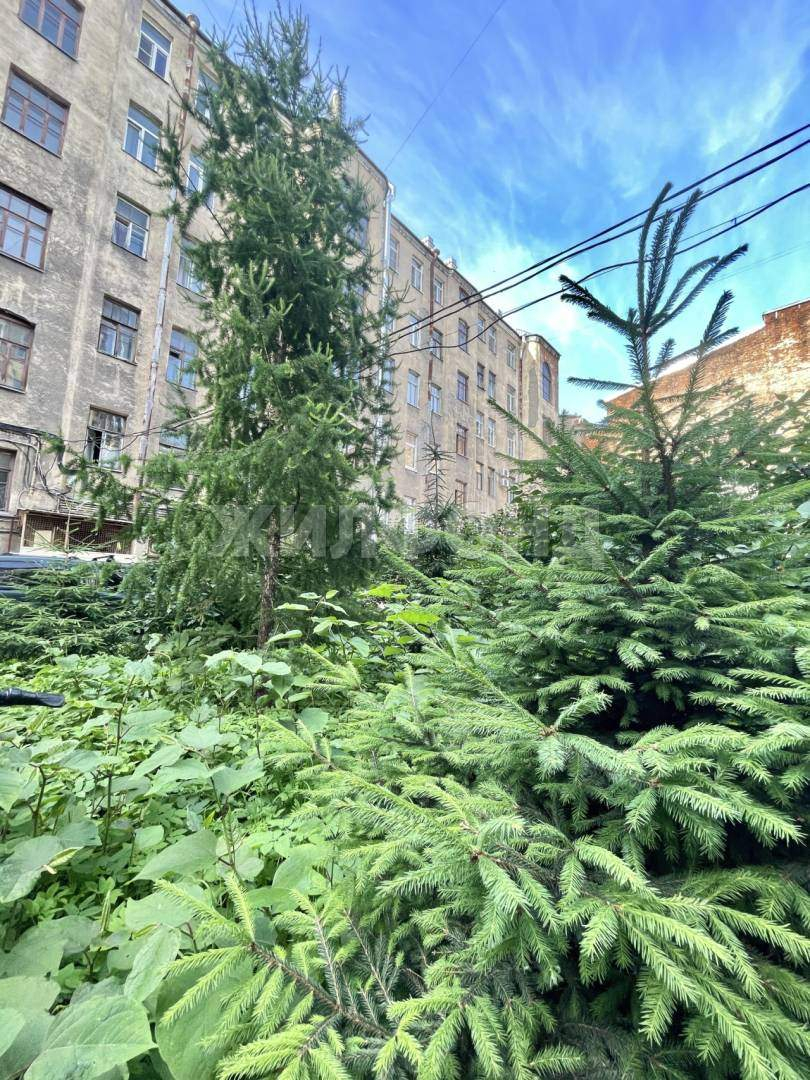 Комната на продажу в Санкт-Петербурге, Измайловский проспект, 16/30 фото №2