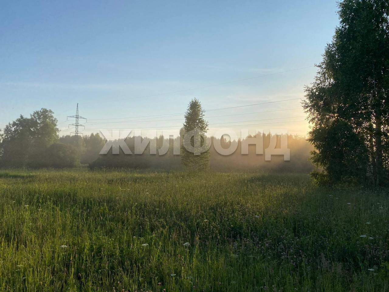 Продам земельный участок 130000 м.кв.