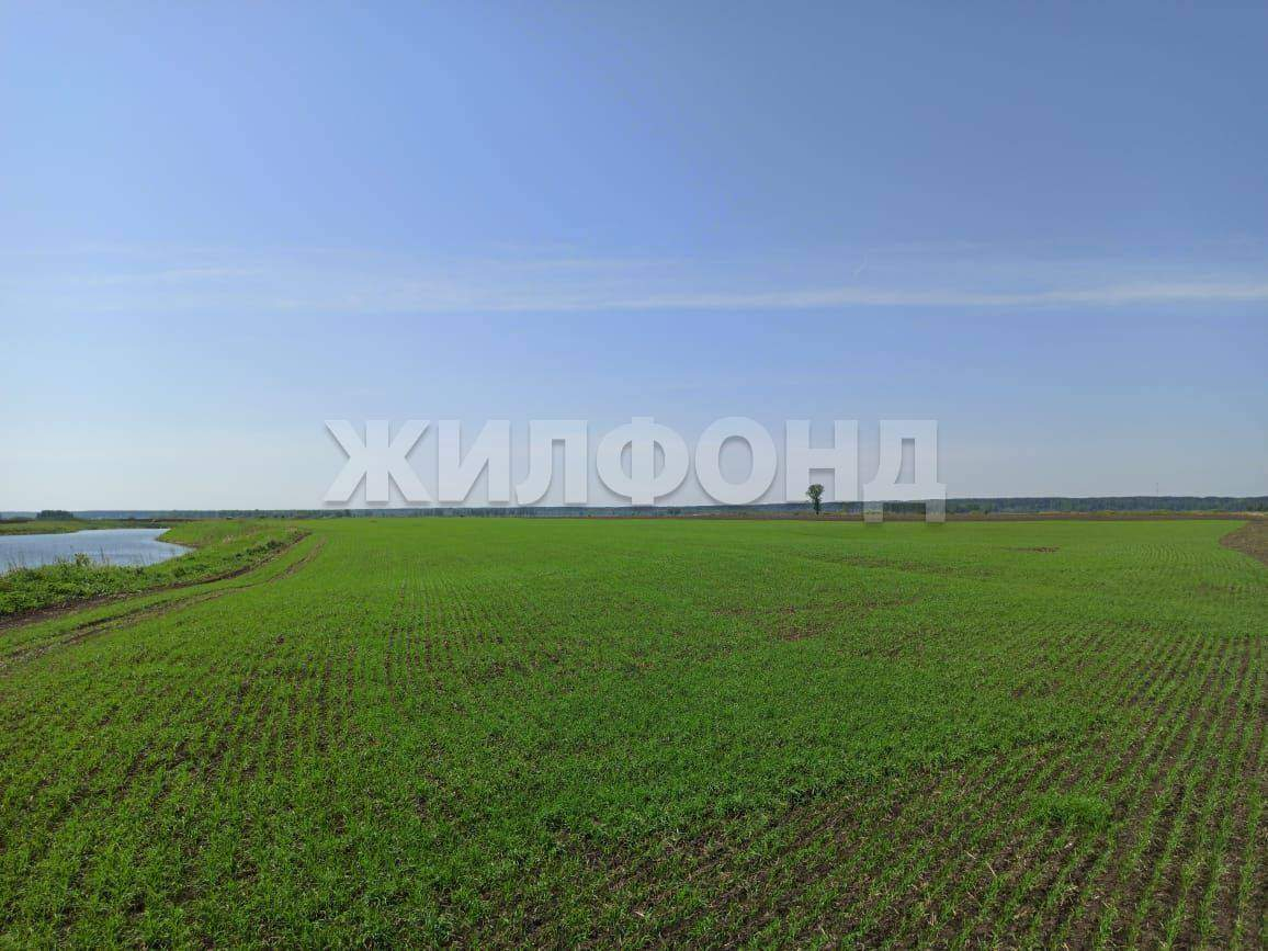 Продам земельный участок 248000 м.кв.