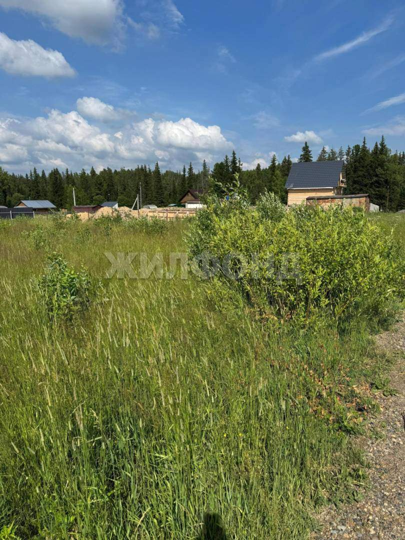 Участок на продажу в селе Корнилово, Ягодная улица фото №10