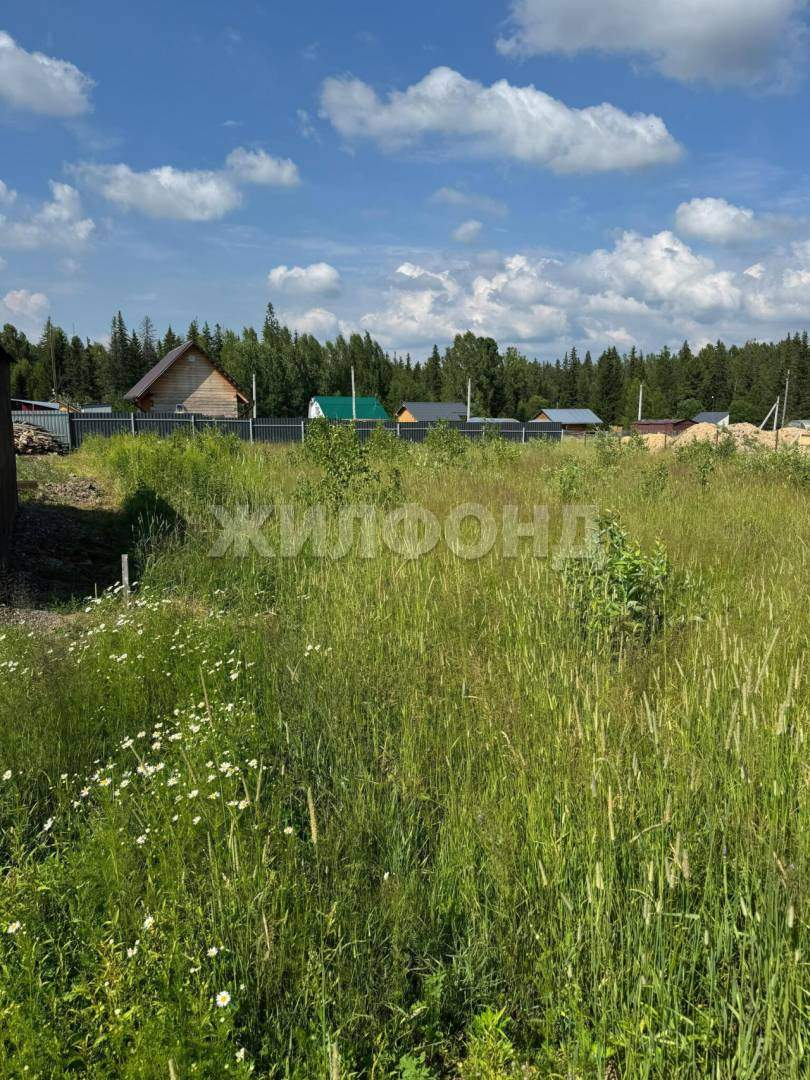 Участок на продажу в селе Корнилово, Ягодная улица фото №7