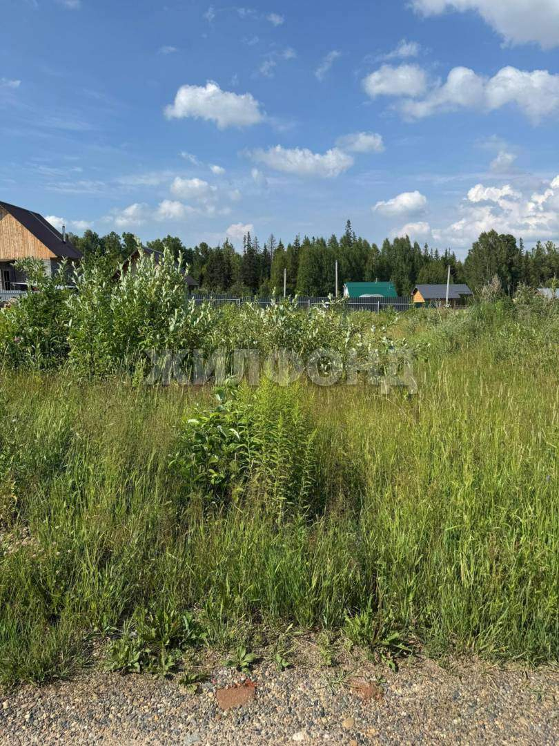 Участок на продажу в селе Корнилово, Ягодная улица фото №13