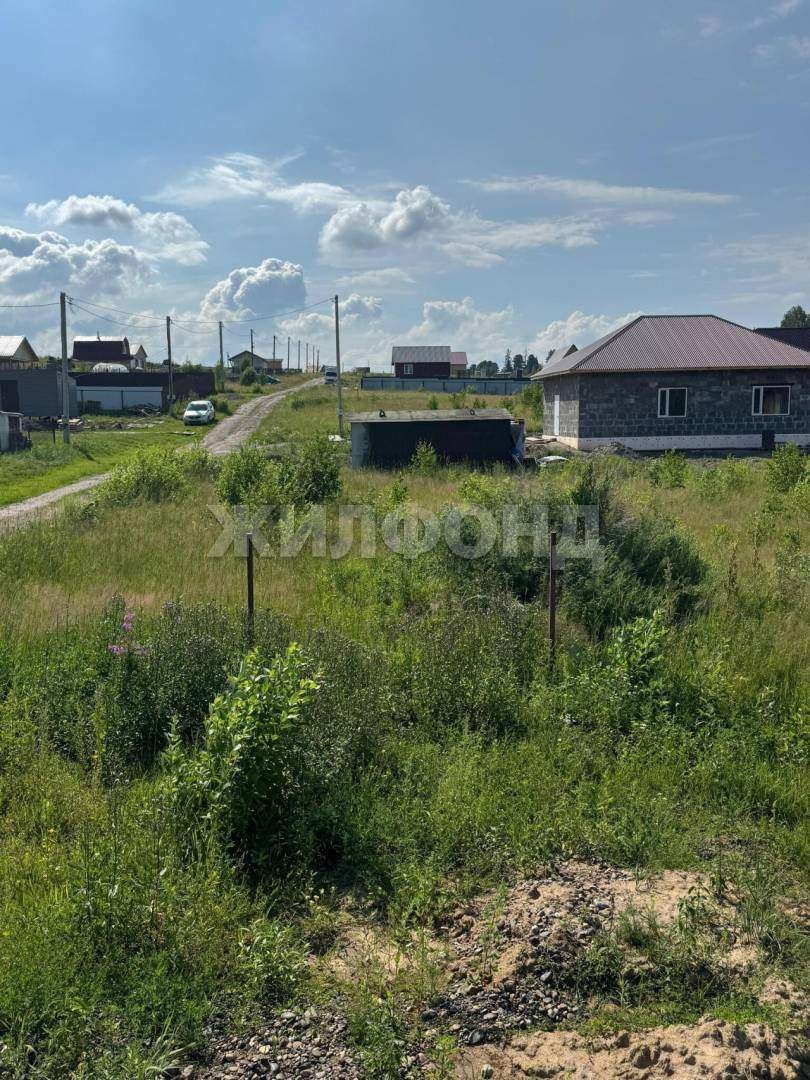 Участок на продажу в селе Корнилово, Ягодная улица фото №8
