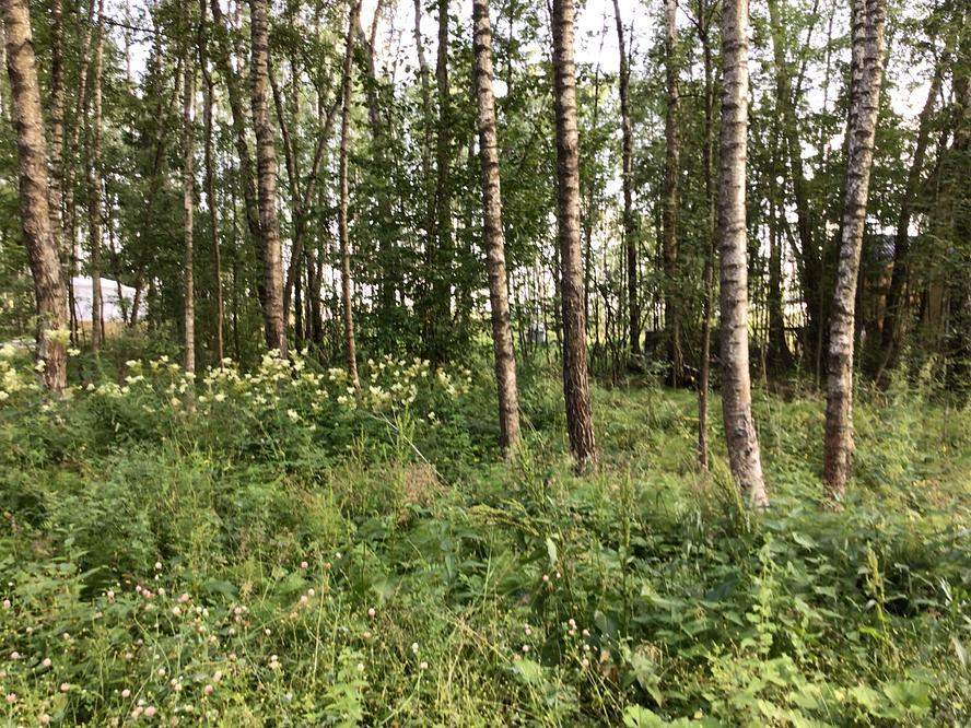 Продам земельный участок 635 м.кв.