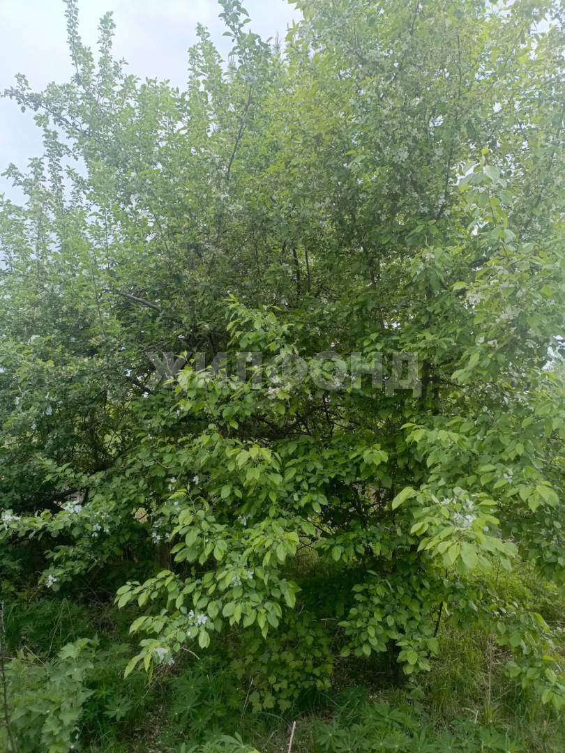 Продам земельный участок 600 м.кв.