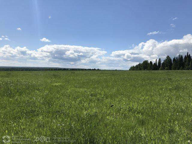 Продам земельный участок 30441 м.кв.