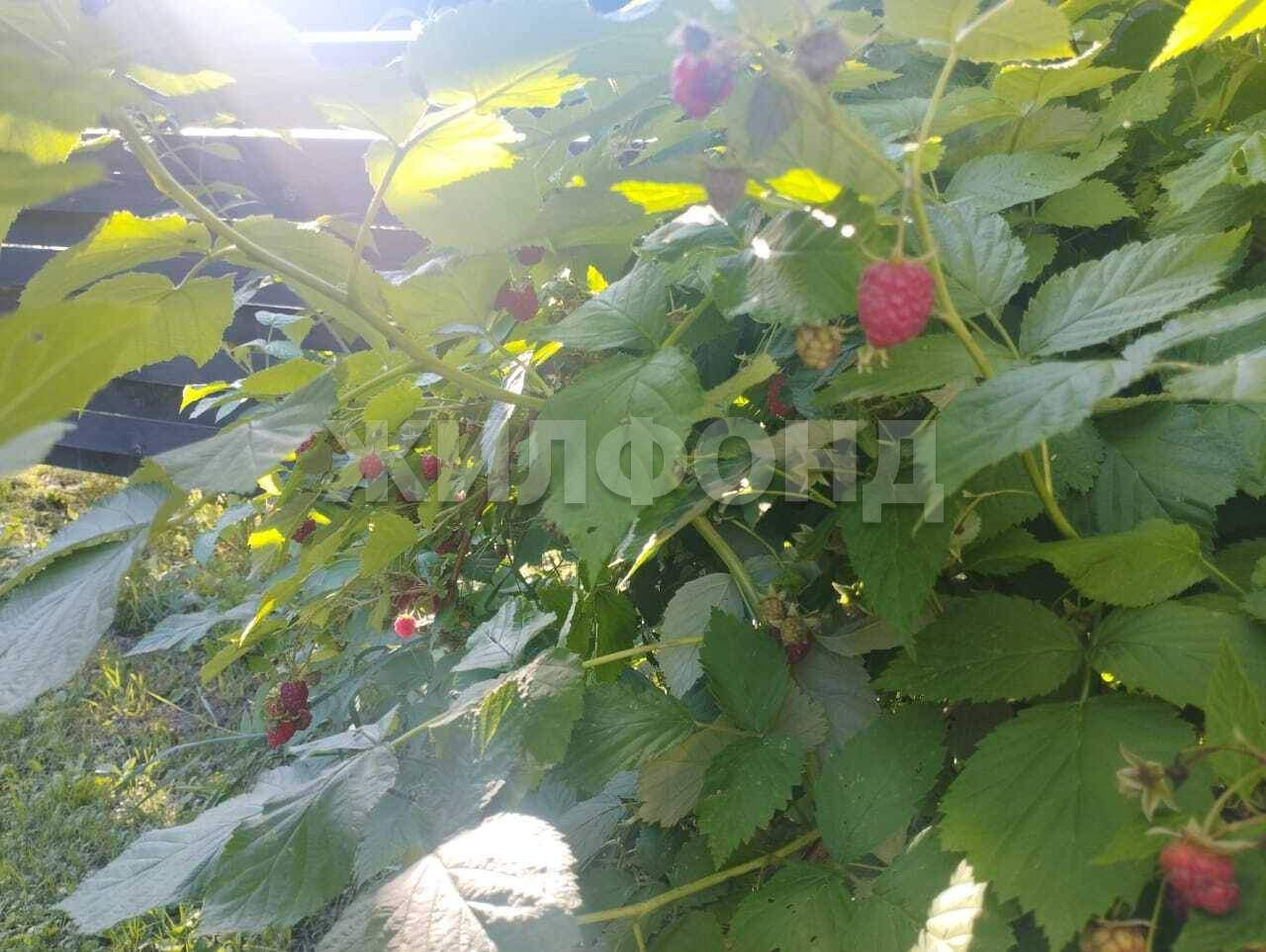 Продам земельный участок 1160 м.кв.