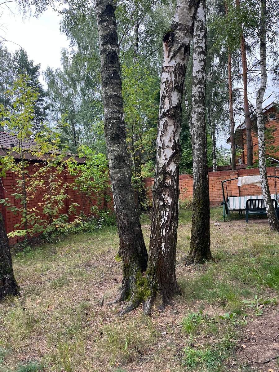 Продам земельный участок 1200 м.кв.