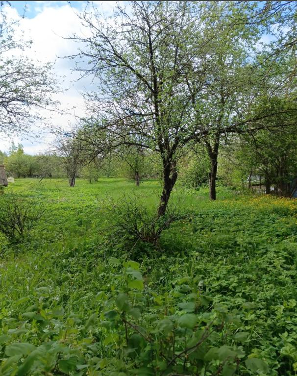 Участок на продажу в Куровском фото №1