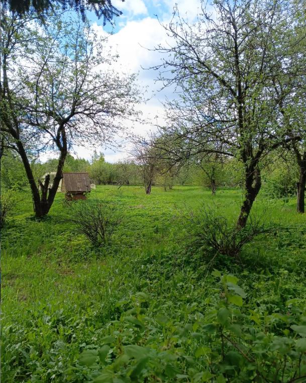 Участок на продажу в Куровском фото №2