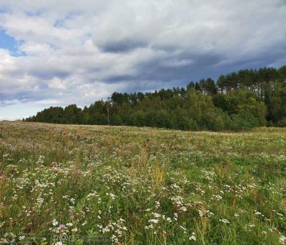 Продам земельный участок 1540336 м.кв.