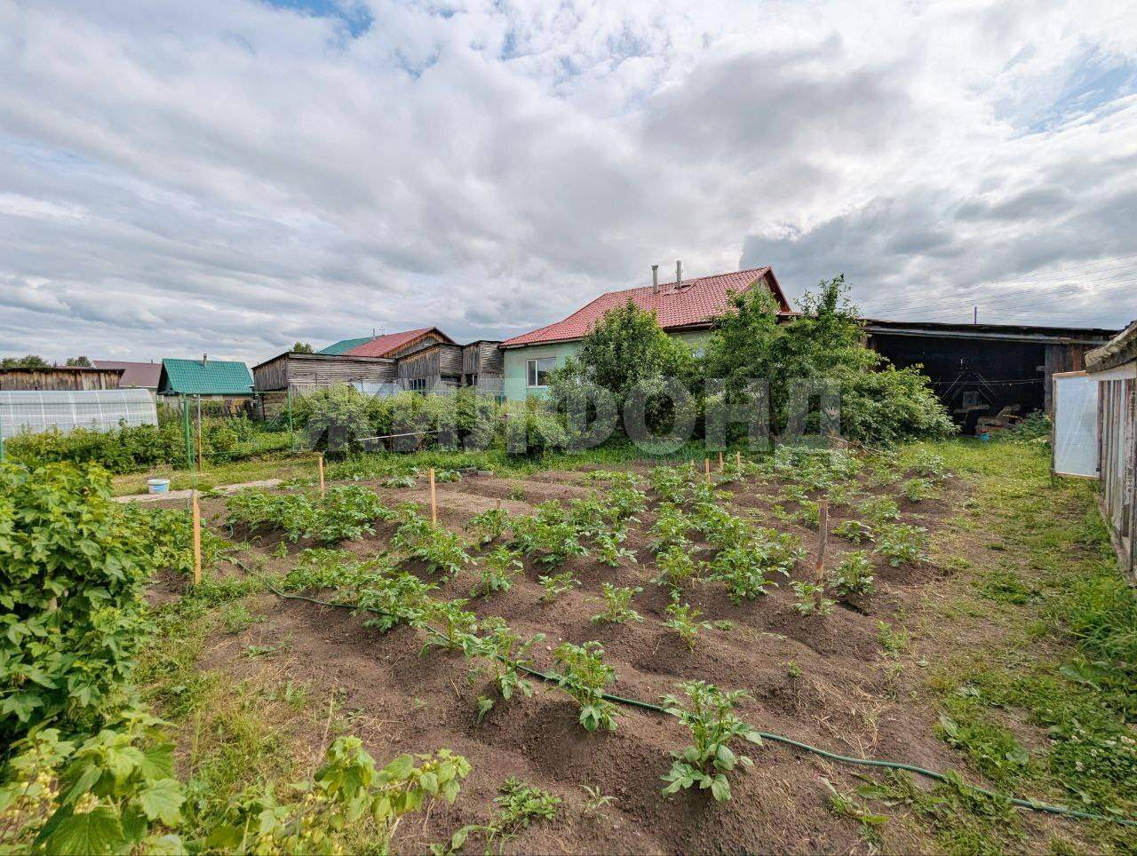 Дом на продажу в Барабинке, Лесная улица фото №3