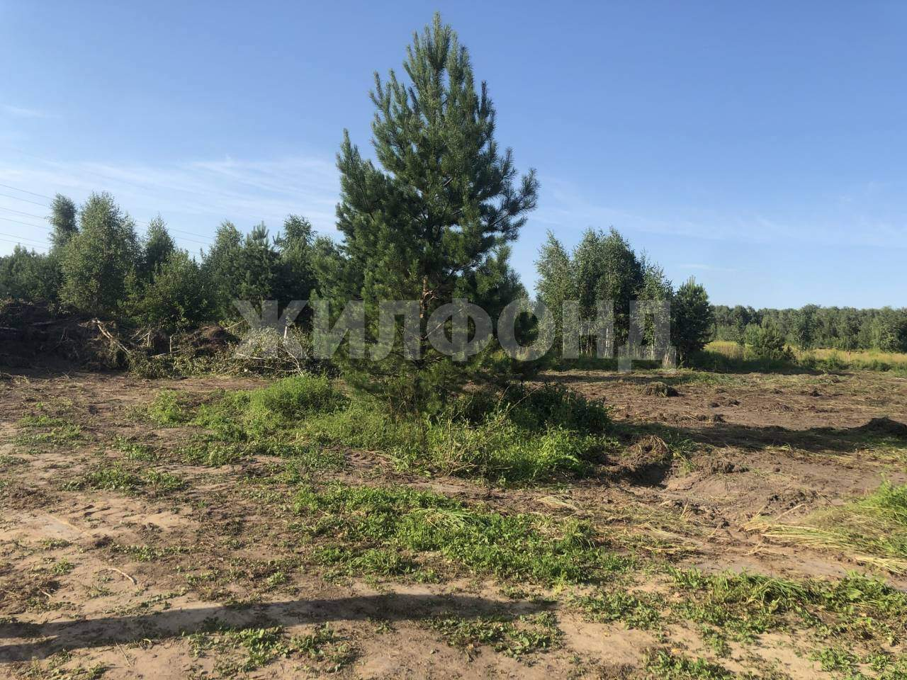 Продам земельный участок 1906 м.кв.