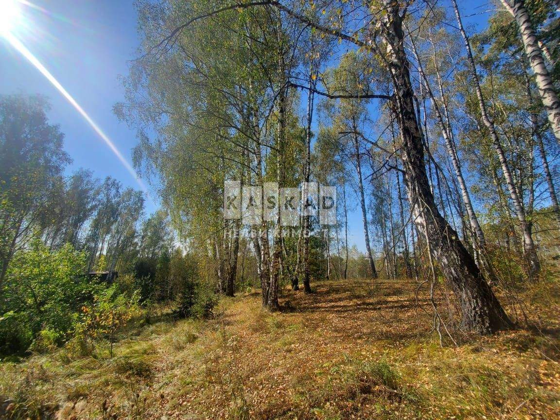 Коттедж на продажу в Троицке, Строителей улица, 9 фото №12