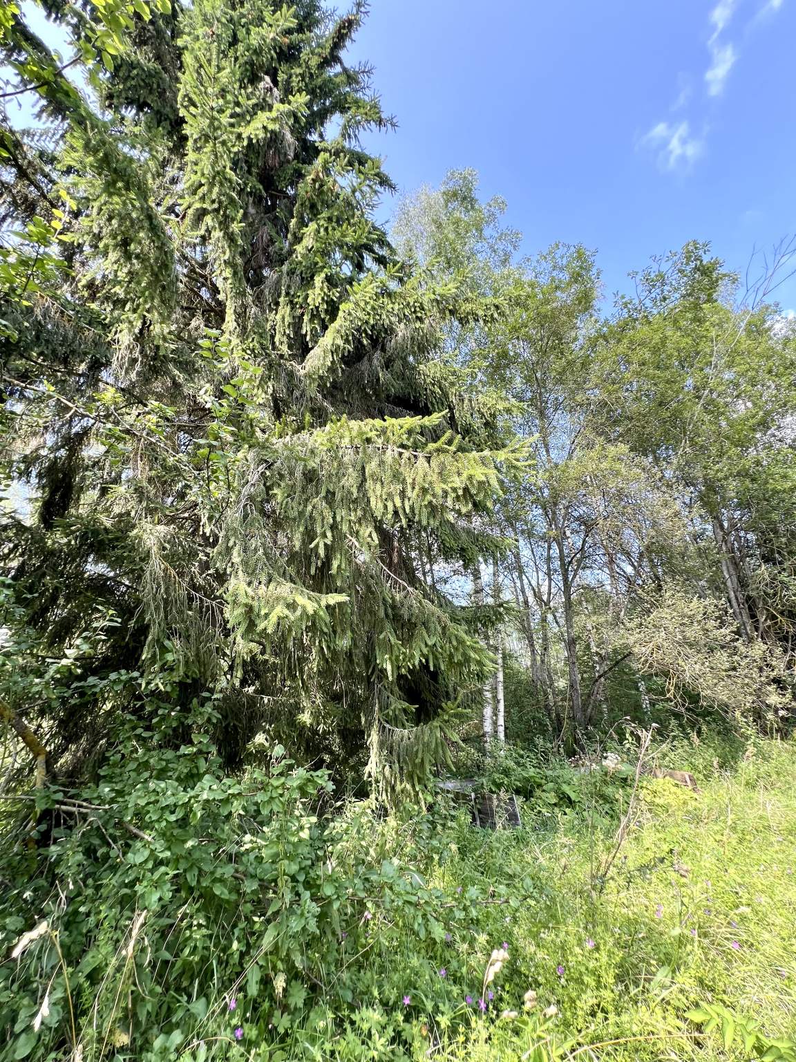 Дом на продажу в Лотовице фото №18