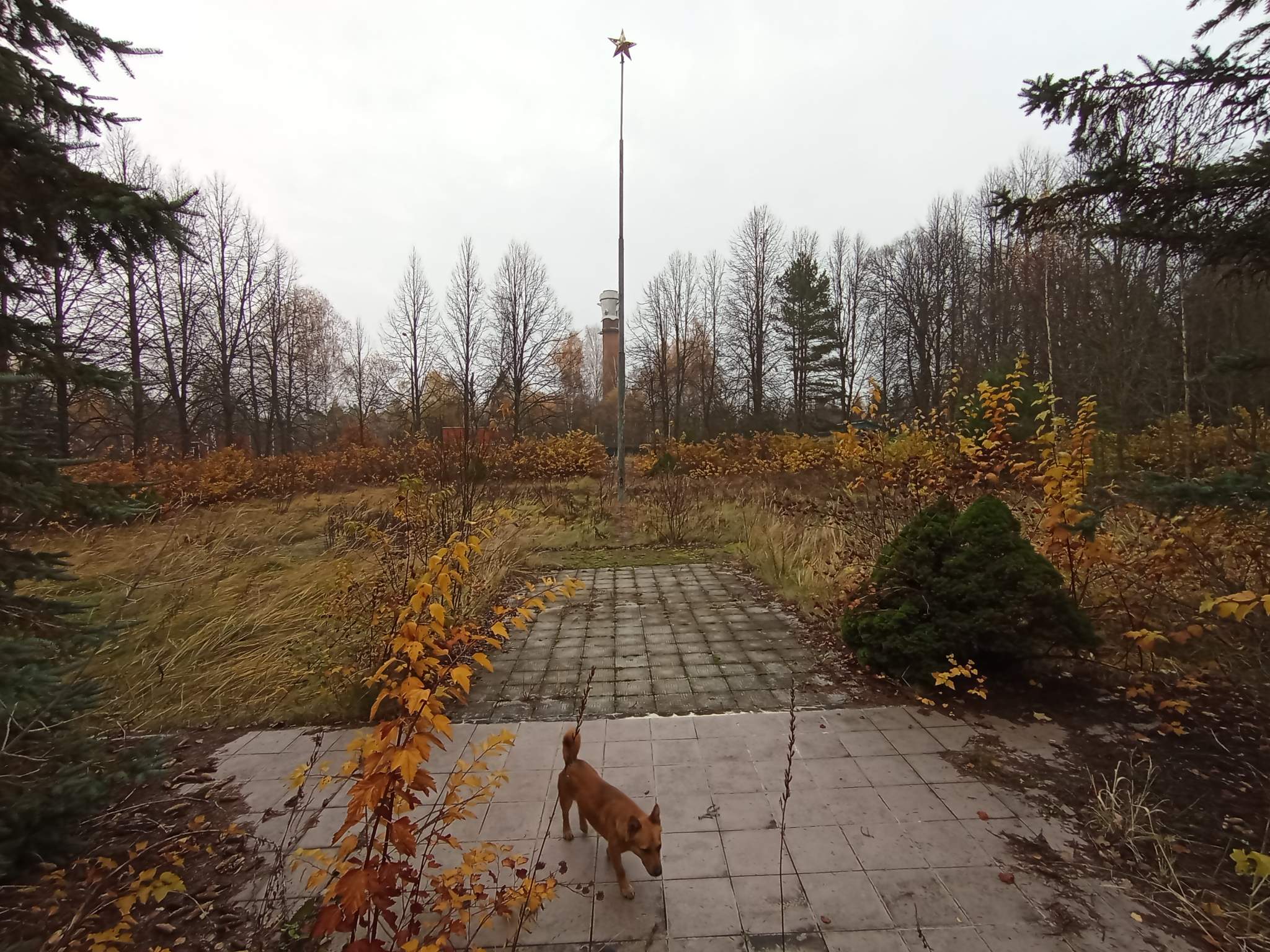 test