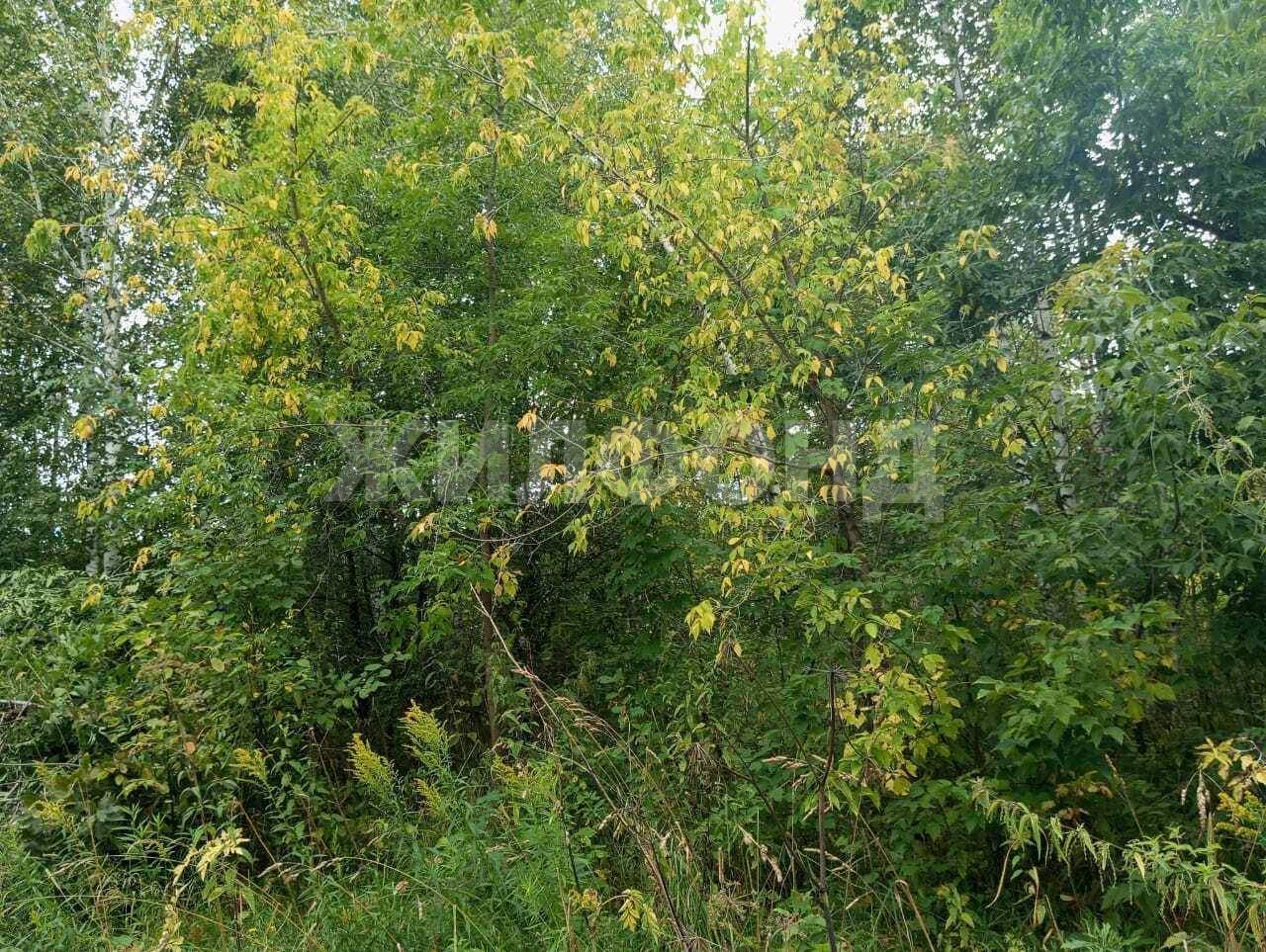 Продам земельный участок 860 м.кв.