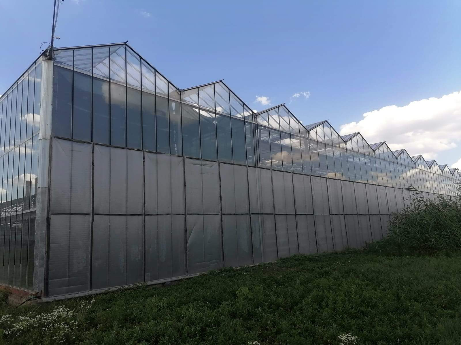 Продам торговое помещение 10698.8 м.кв.