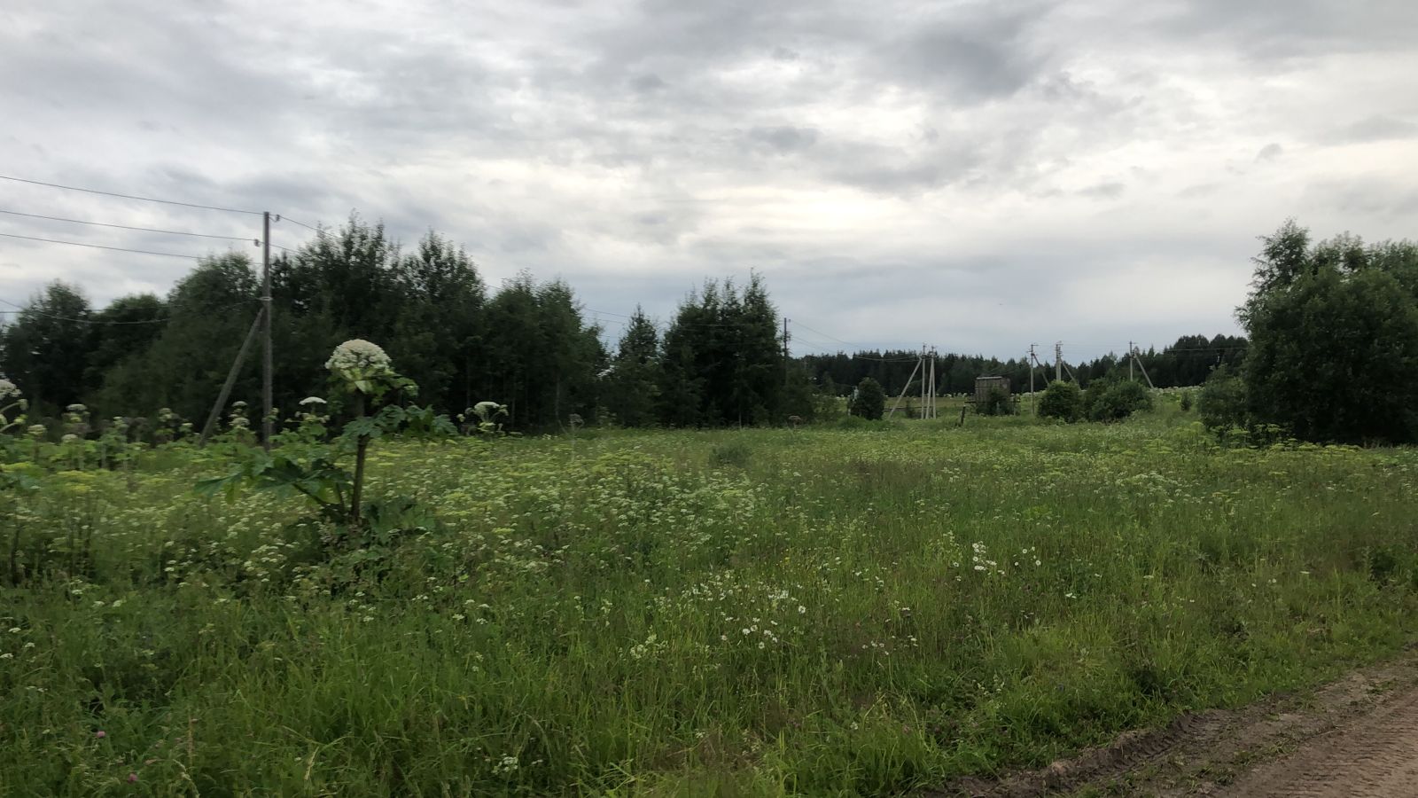Участок на продажу в Озеле фото №1