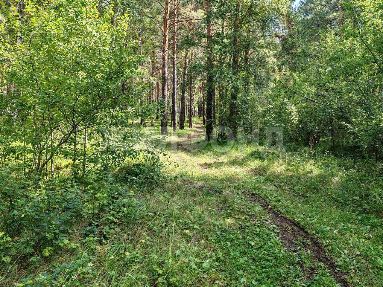 Квартира на продажу в Малой Топке, Ключевая улица, 49 фото №16