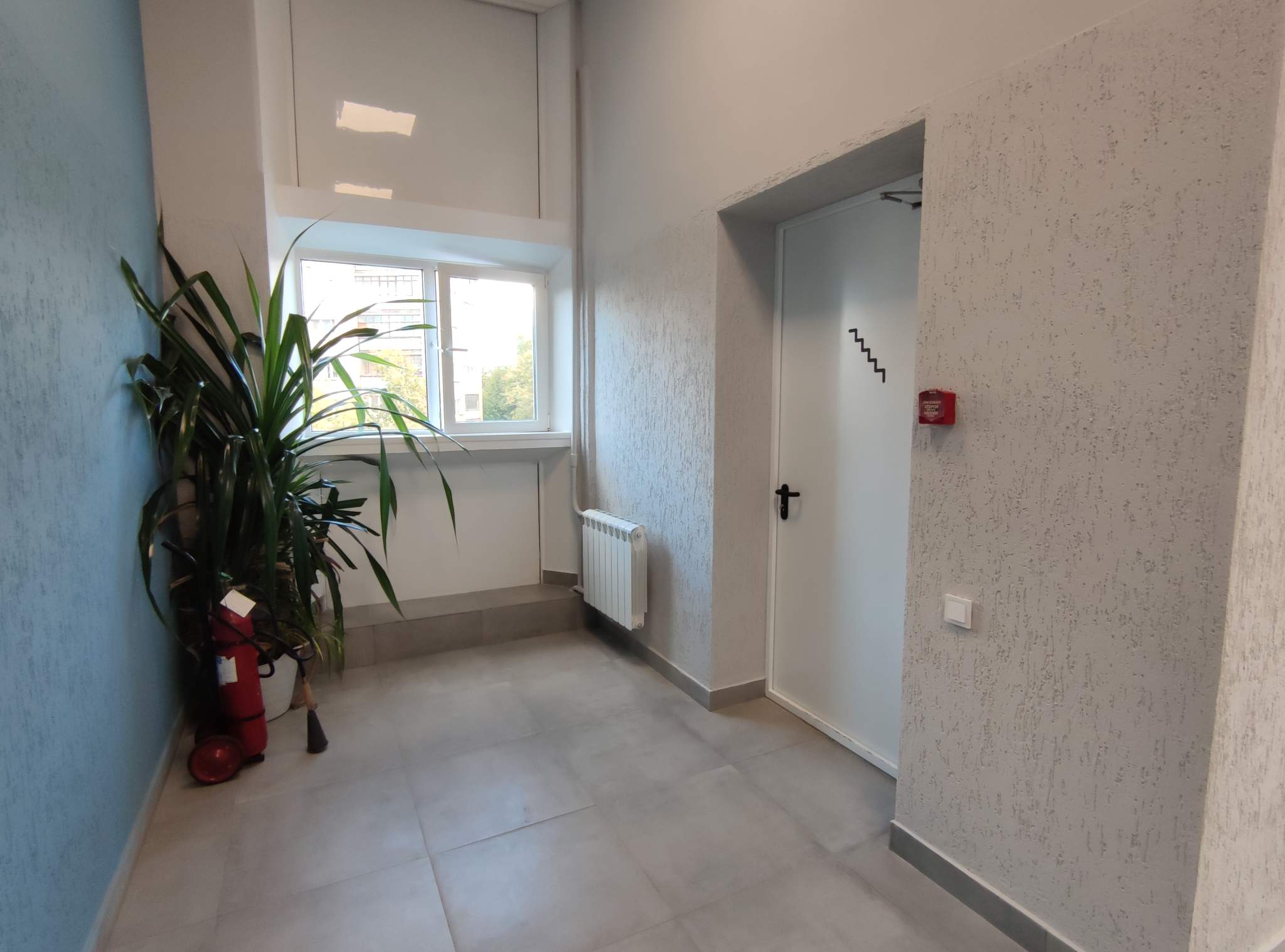 Фото: Аренда ПСН 260,2 м2. Этаж 1. Потолки 4,6 м. СВАО test