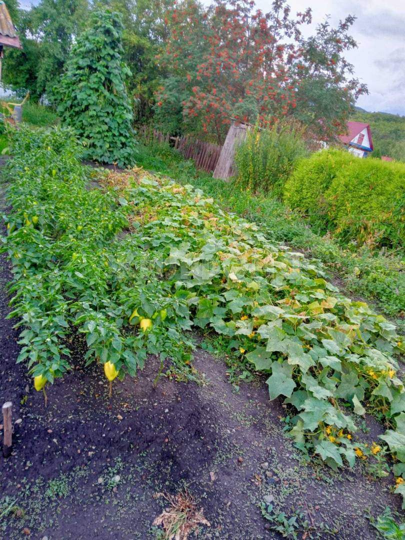 Дом на продажу в Алтайском, Озерная улица фото №9