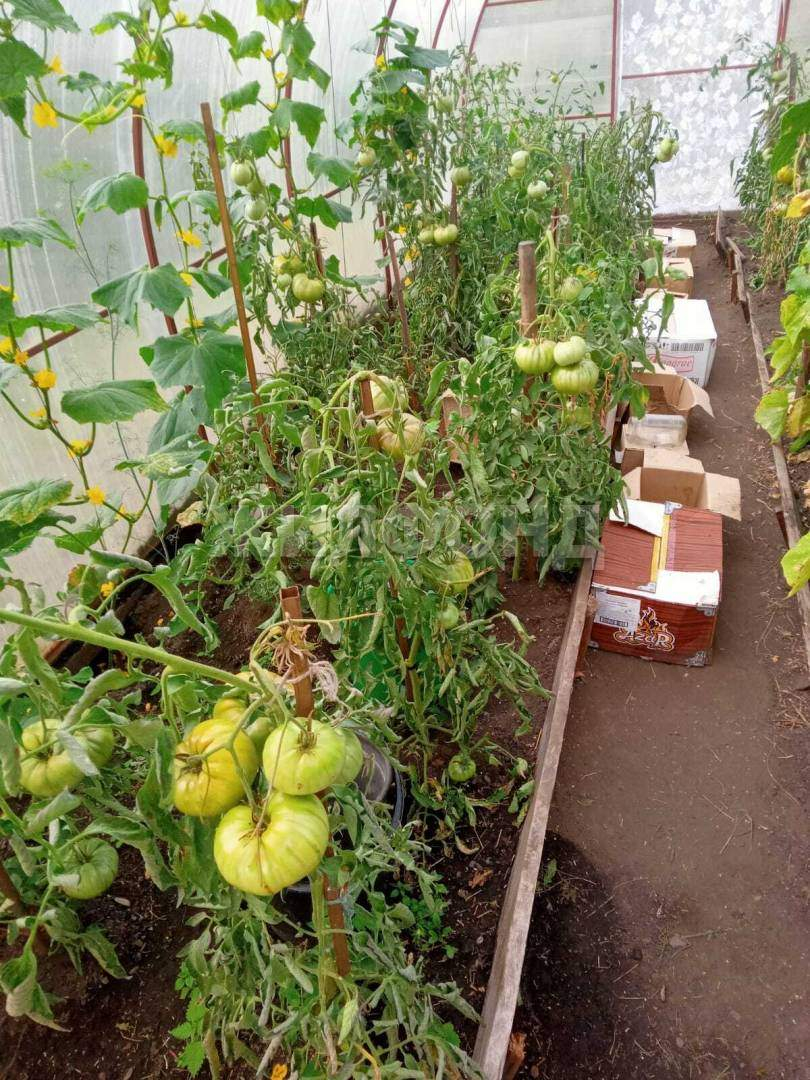 Дом на продажу в Алтайском, Озерная улица фото №7