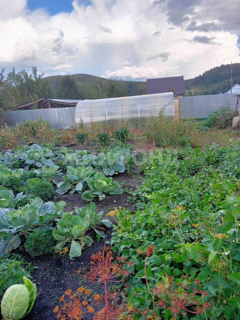 Дом на продажу в Алтайском, Озерная улица фото №6