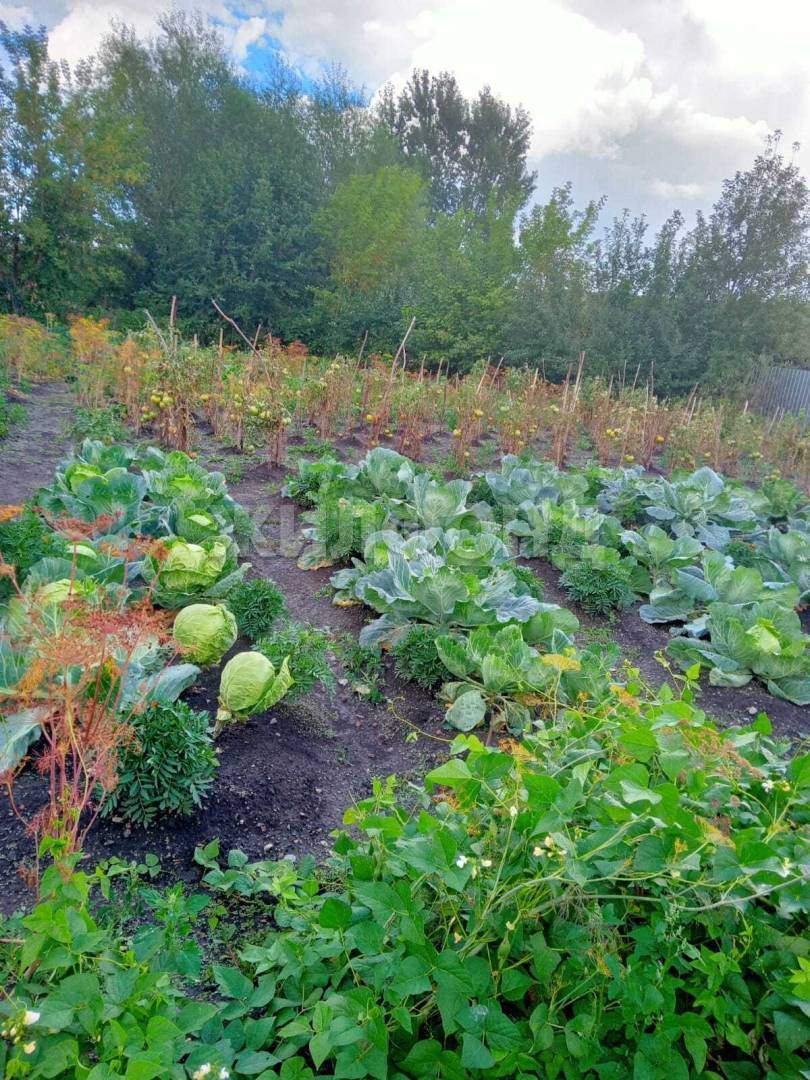 Дом на продажу в Алтайском, Озерная улица фото №10